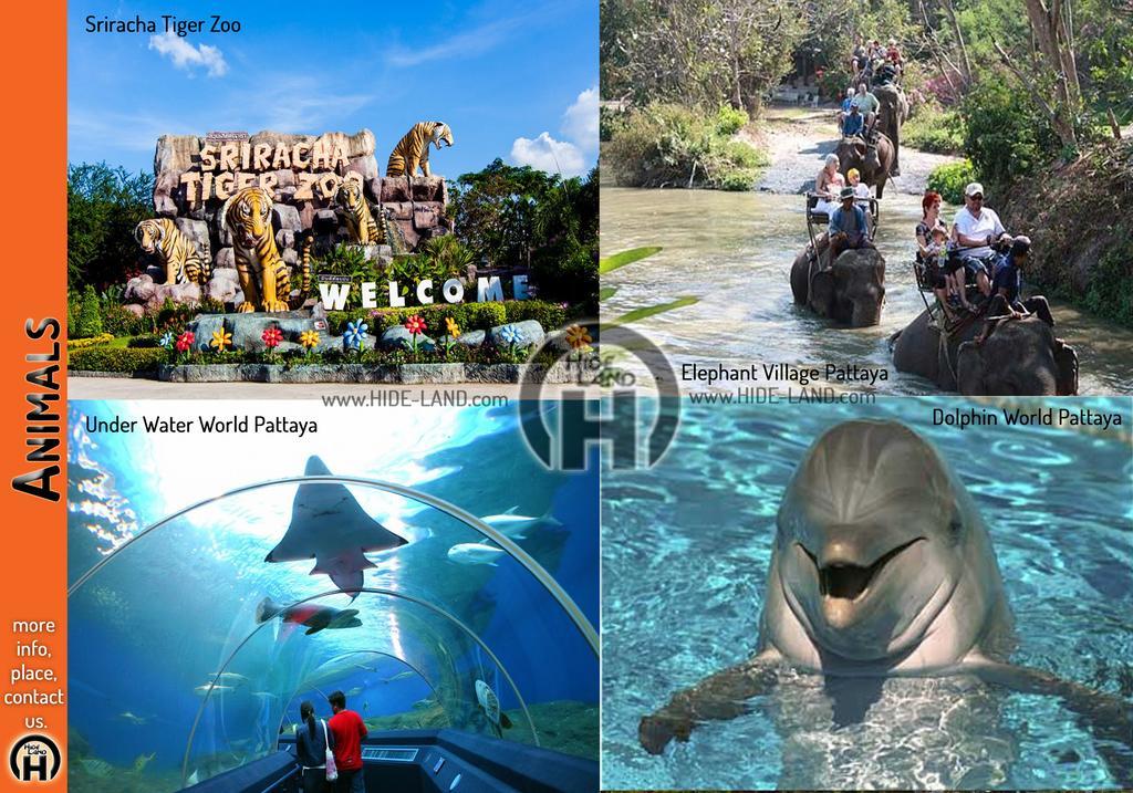 Hideland - The Luxury Tropical Villa パッタヤー エクステリア 写真